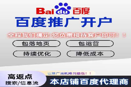 百度广告投放策略与效果评估案例